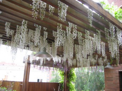 normal_100-0049_IMG.jpg