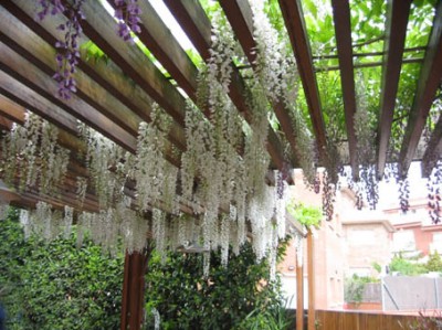normal_100-0050_IMG.jpg