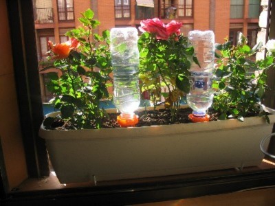 normal_107_0752.JPG