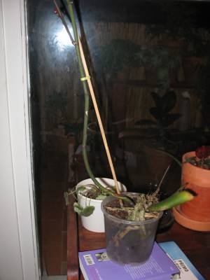 normal_148_4848.JPG