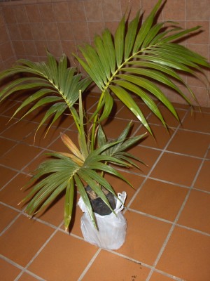 normal_19-2-2006%20009.jpg