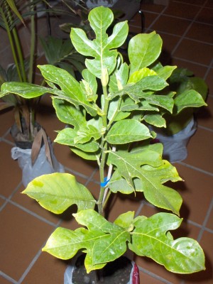 normal_19-2-2006%20015.jpg
