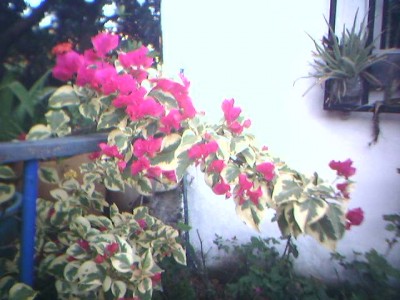 normal_20-03-06_1755.jpg