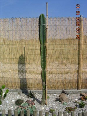 normal_2005-4%7E4.JPG