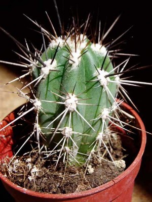 normal_200505_02.jpg