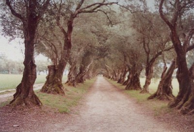 normal_2005_08_Galicia07.jpg