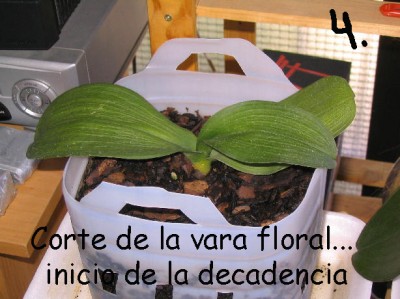 normal_249_4966_1%20copia.jpg