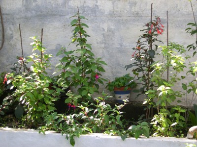 normal_25-01-06-002.jpg