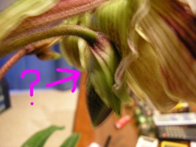 normal_25_11_05%20011%7E0.jpg