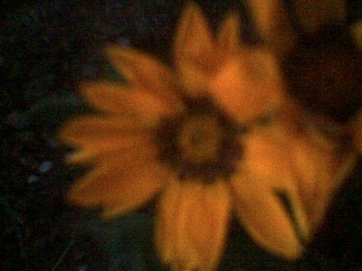 normal_5AH00754.jpg