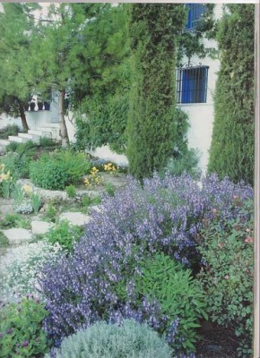 normal_andaluz-1.jpg
