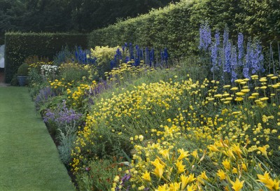 normal_angleseyabbey.jpg