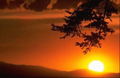 normal_atardecer-SOLIDA.jpg