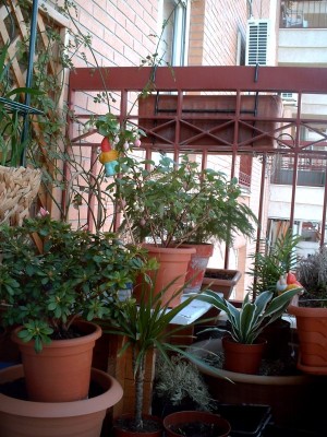 normal_balcon1a.JPG