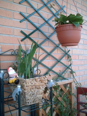 normal_balcon2a.JPG