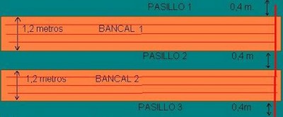 normal_bancals2.JPG