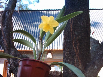 normal_BLC.MACAO%20KAEW%20BOONPECH093.1.jpg