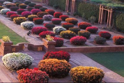 normal_buganvillagardenpalacehotjodhpurindia.JPG