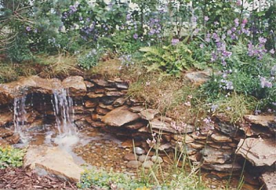 normal_c081.jpg