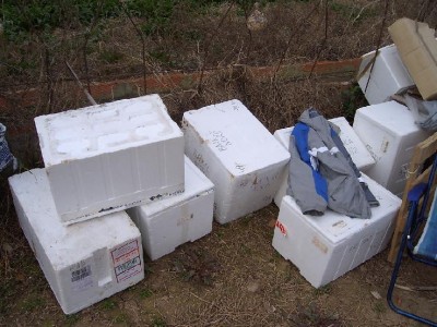 normal_Cajas%20para%20semillero%28a%29.jpg