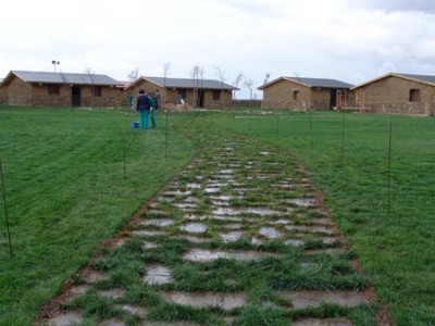 normal_Camino%20en%20pradera.jpg