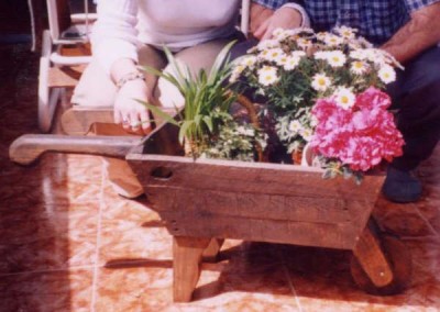 normal_carrito.jpg
