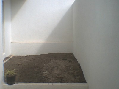 normal_casa001.jpg