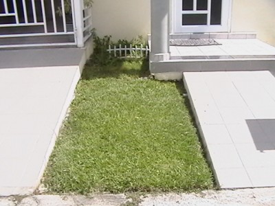normal_Centro-Izquierda.JPG
