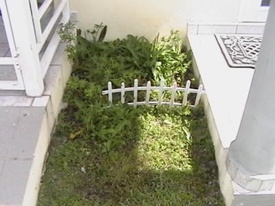 normal_Centro-Izquierda-Principio.JPG