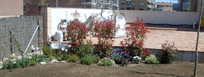 normal_conjunto_photinia_reducida.JPG