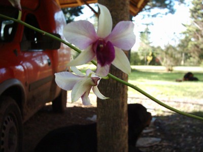 normal_Denphal%20heinz%20beauty%20103.1.jpg