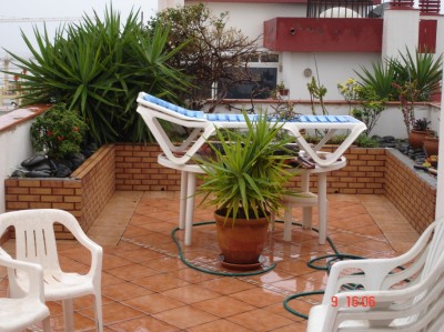 normal_DESPUES%20DE%20TORMENTA.jpg