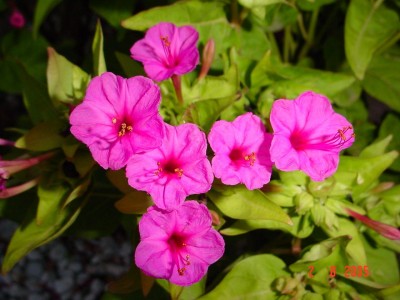 normal_DSC00012s%7E4.JPG
