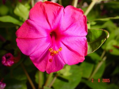 normal_DSC00013s%7E1.JPG