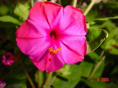 normal_DSC00013s%7E2.JPG