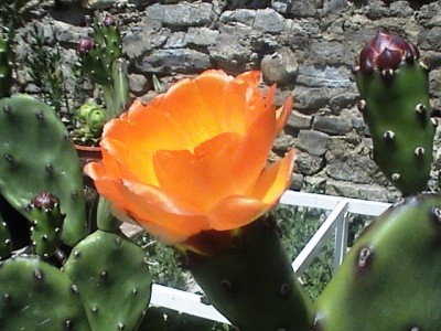 normal_DSC00111.JPG