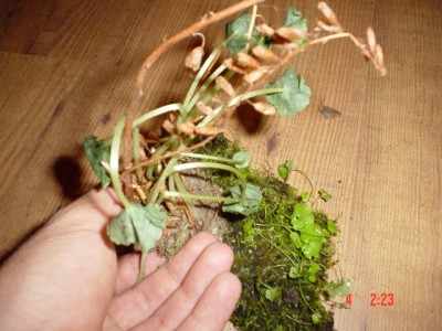 normal_DSC00278.JPG
