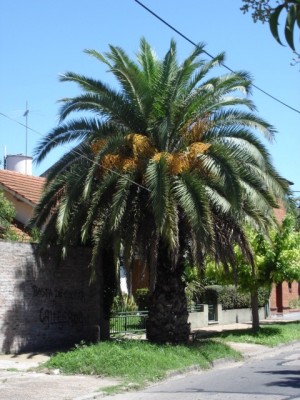 normal_DSC00488.JPG