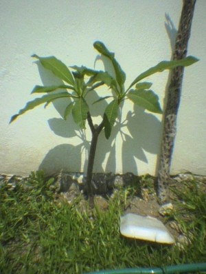normal_DSC00585.JPG