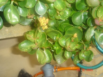 normal_DSC00599.JPG