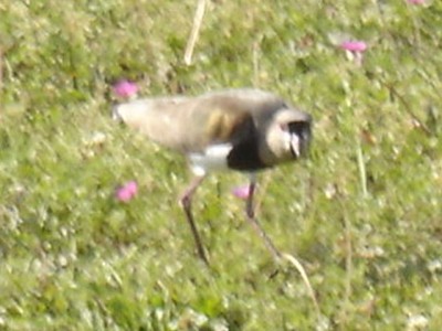 normal_DSC00812.JPG