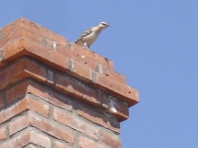 normal_DSC00820.JPG