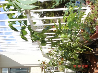 normal_DSC00876.JPG