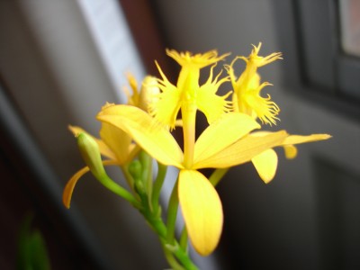 normal_DSC00987.JPG