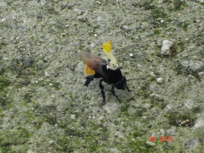 normal_DSC01647.JPG