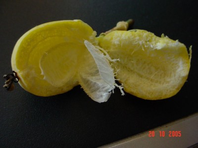 normal_DSC01657s.JPG