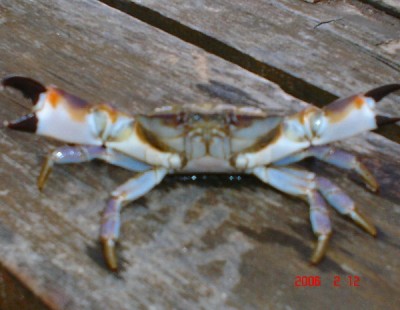normal_DSC02381.jpg