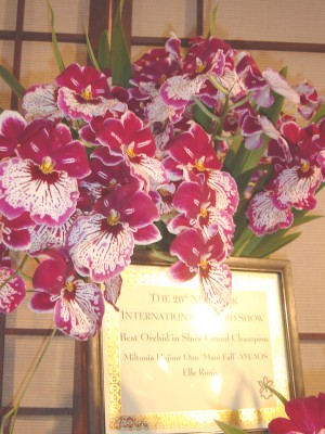 normal_DSC03065.jpg