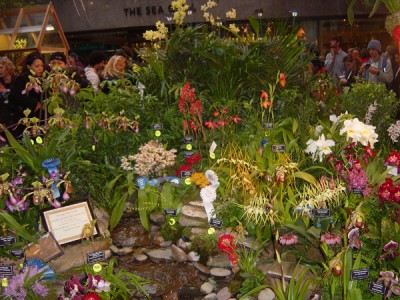 normal_DSC03068.jpg