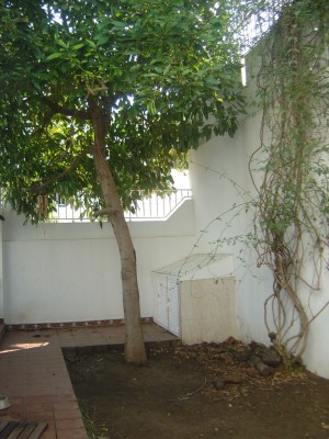 normal_DSC03460.JPG